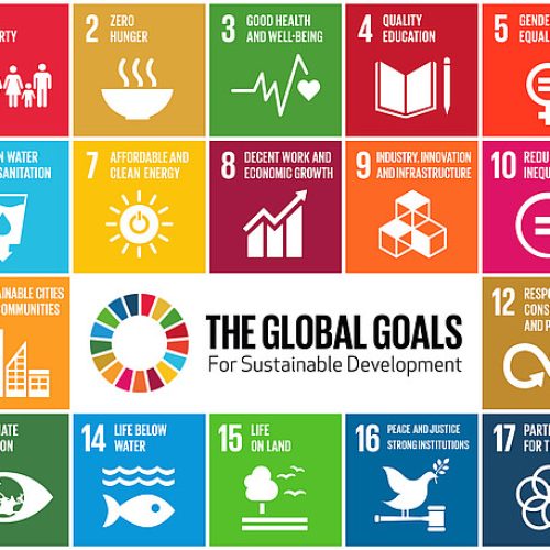 The Global Goals